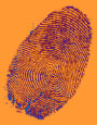 fingerprint